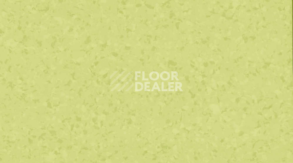 Линолеум Gerflor Mipolam Symbioz 6027 ACCACIA фото 1 | FLOORDEALER